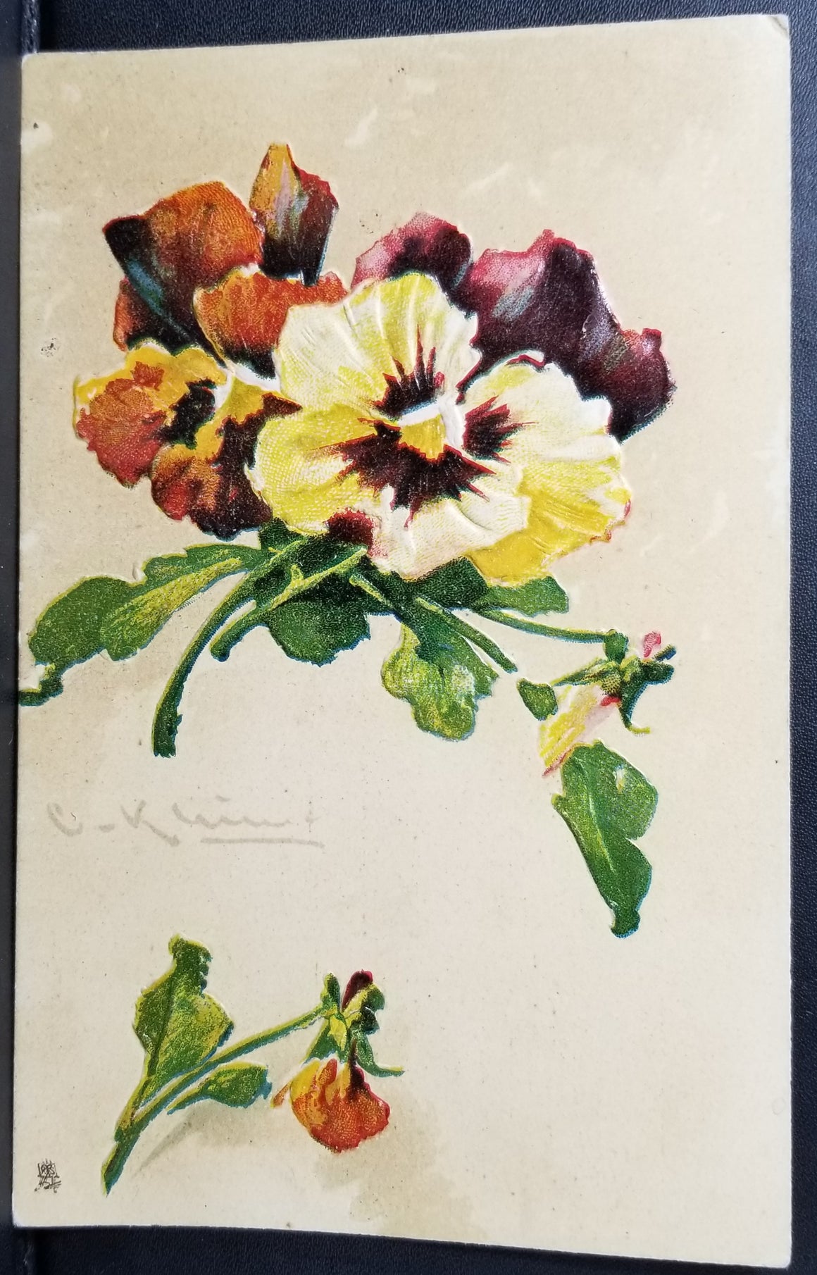 Artist Catherine Klein Flower Postcard Pansies Birthday Greetings Embossed Chromolithograph Botanical Card