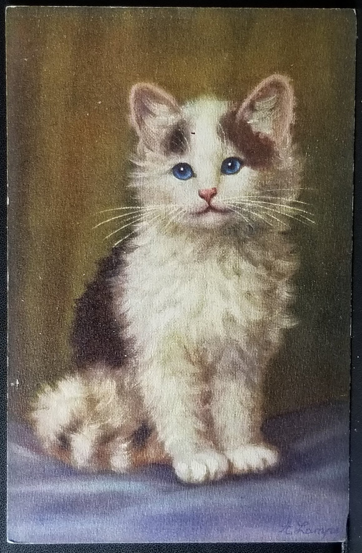 Sweet Kitten Postcard Portrait of Kitty Cat with Bright Blues Artist Signed A. Lampe