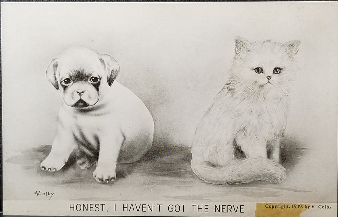 Monochromatic Drawn Cartoon Adorably Sweet Cat & Dog Honest I Haven't Got the Nerve  (Vincent) V. Colby