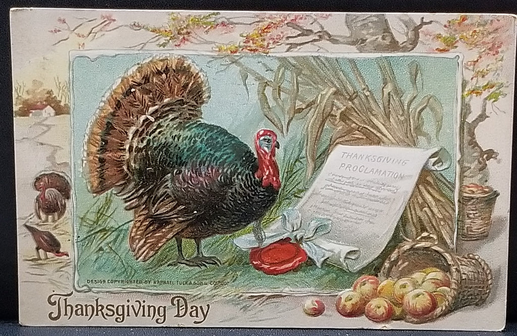 Thanksgiving Postcard Embossed Turkey with Proclamation and Basket of Apples Tuck Publishing Series 175