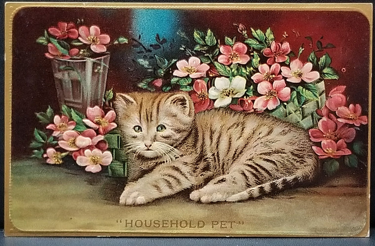 Animal Postcard Kitten with Flowers Series 663 Titled Household Pet Gel Finish