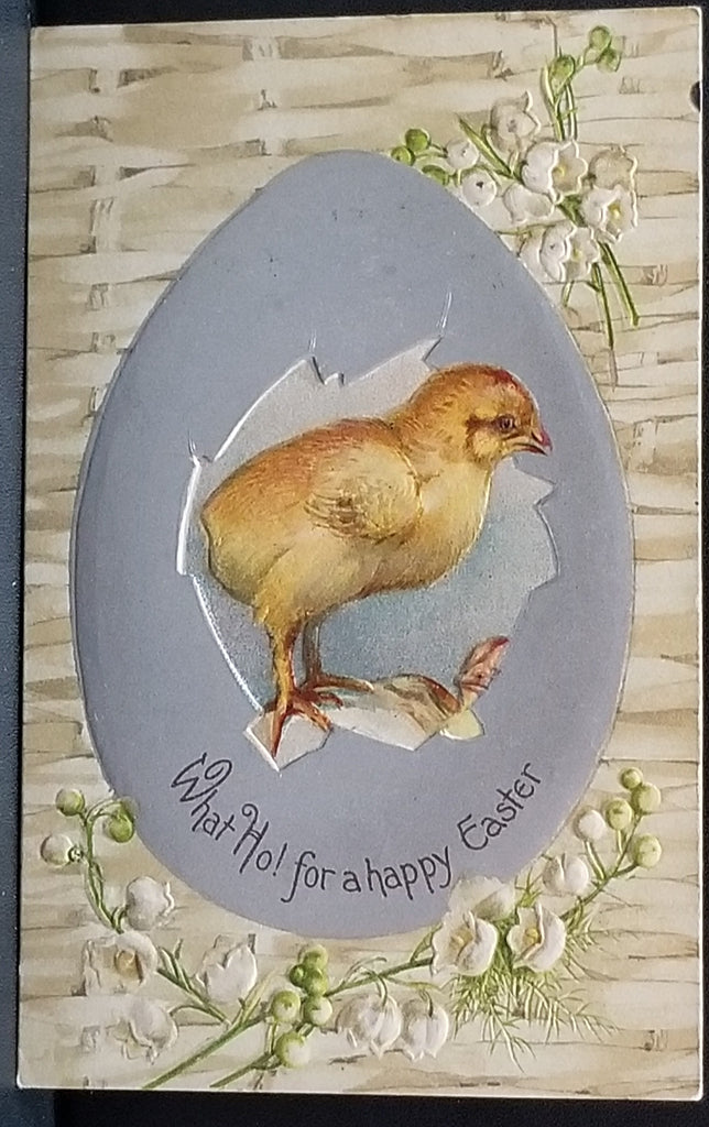 Easter Postcard Baby Chick in Silver Embossed Egg Hatching in Center with White Lilies