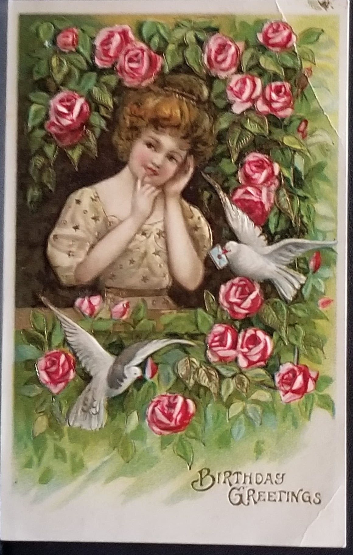Birthday Postcard Gold Embossed Gel Finished Young Girl Standing in Pink Roses w/ Flying Doves