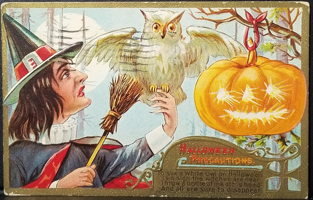 Halloween Postcard Embossed Witch Holding White Owl with JOL Pumpkin Nash Pub