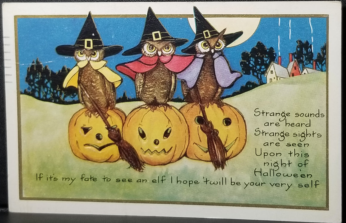 Halloween Postcard Whitney Publishing Owls Dressed as Witches on JOL Pumpkins Century of Progress Stamp