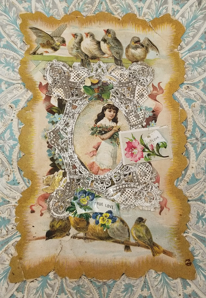 Large Vintage Antique Embossed Dresden Paper Valentine Card with Applied Silver Foil 1892 Little Girl & Birds