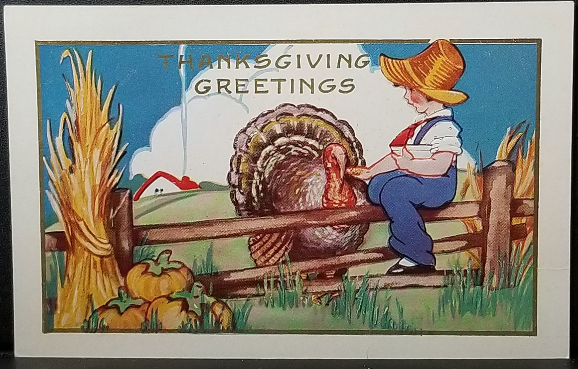 Thanksgiving Postcard Little Boy Seated on Fence Feeding Turkey Whitney Publishing