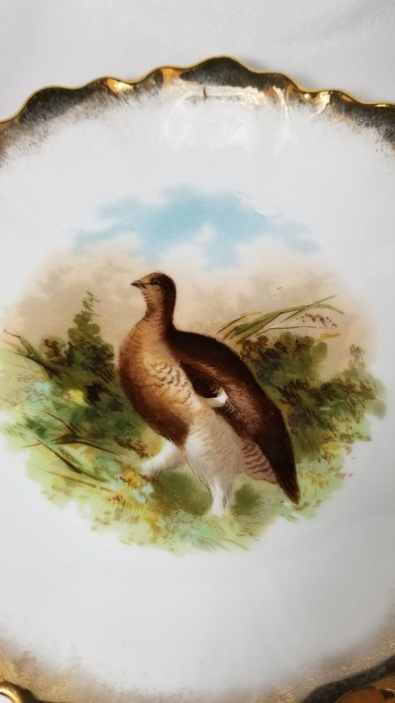 Vintage Antique Bavarian Porcelain Game Bird Decorated Plate Grouse with Gold Trim