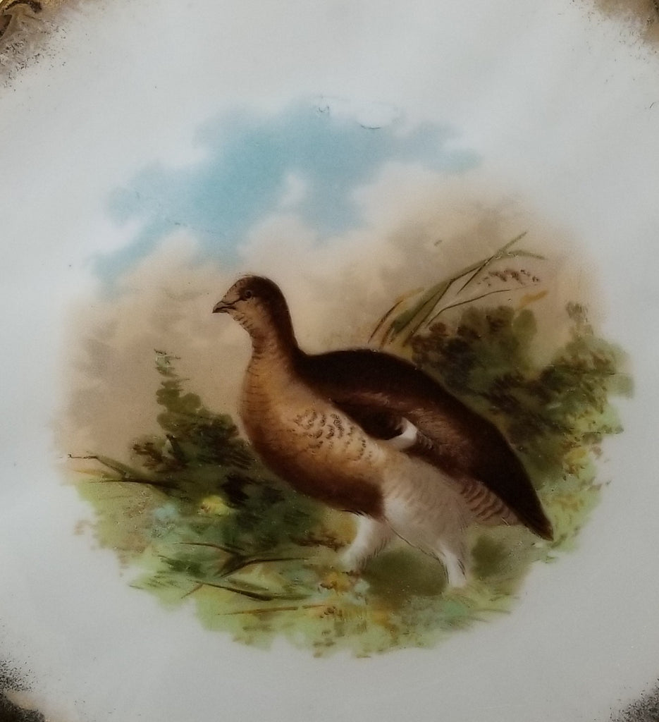 Vintage Antique Bavarian Porcelain Game Bird Decorated Plate Grouse with Gold Trim