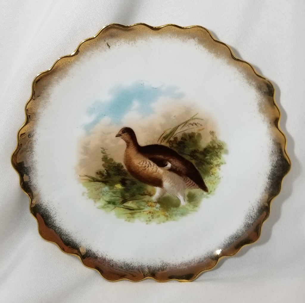 Vintage Antique Bavarian Porcelain Game Bird Decorated Plate Grouse with Gold Trim