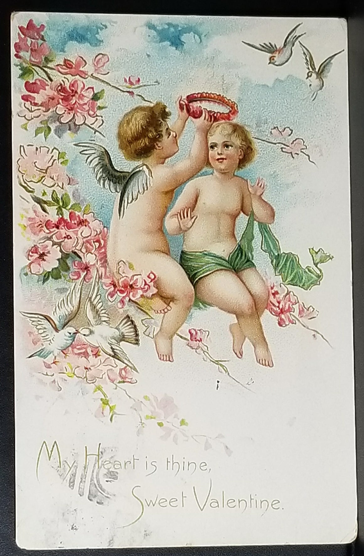 Valentine Postcard Early Raphael Tuck Card Cupid Cherub Angels with Flower Wreath on Blooming Branches