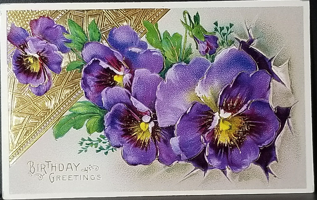 Flower Greeting Birthday Postcard Best Wishes Purple Pansies Gold Trim Germany Gel Finish