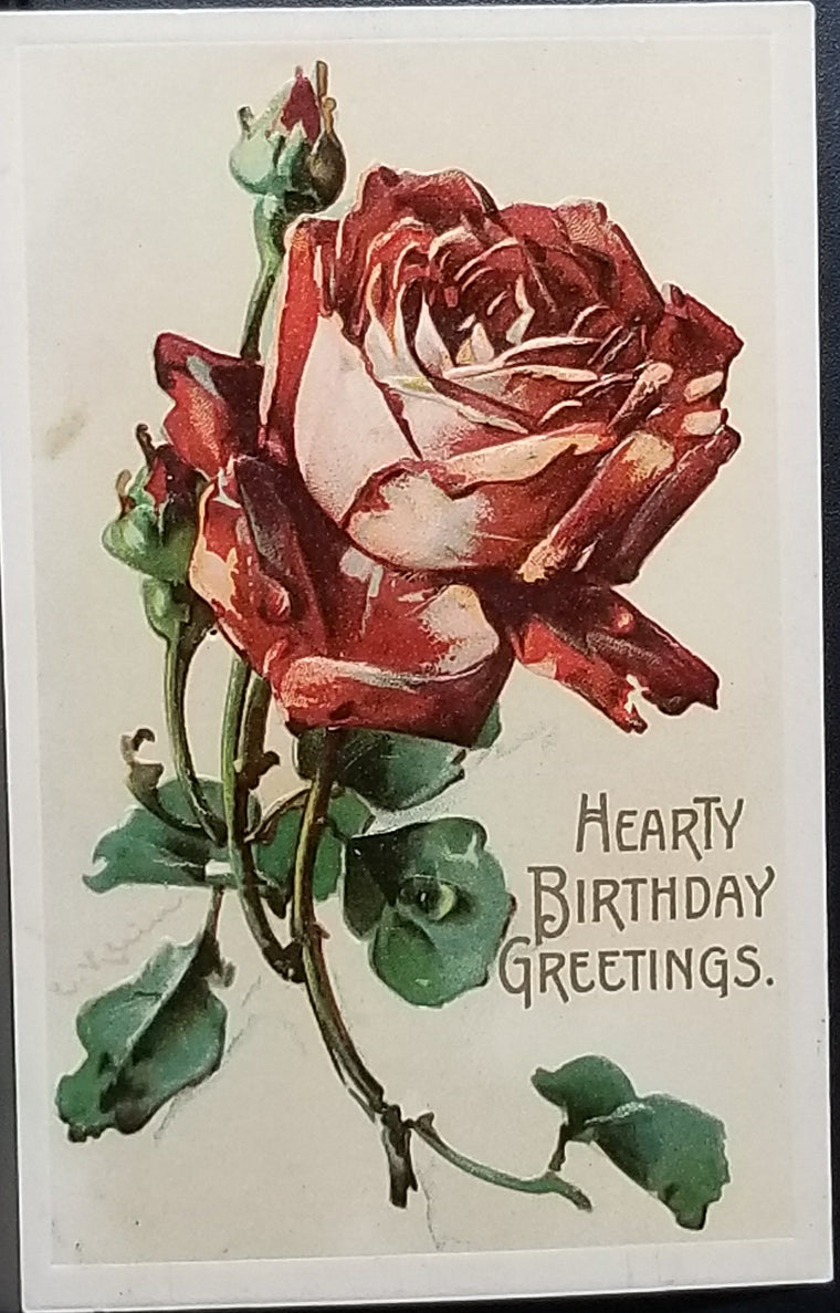 Artist Catherine Klein Flower Postcard Red Rose Birthday Greetings Embossed Chromolithograph Botanical Card