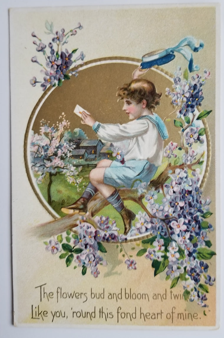 Valentine Postcard Boy in Blossoming Tree Raphael Tuck Series 11 Floral Missives