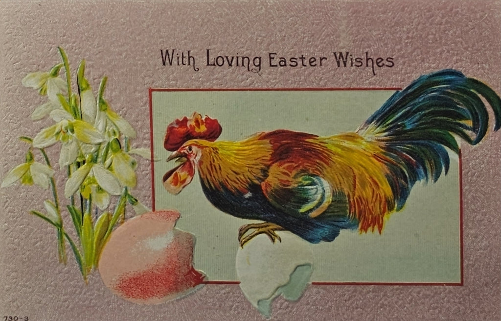 Easter Postcard Rooster with Painted Egg & Spring Flowers