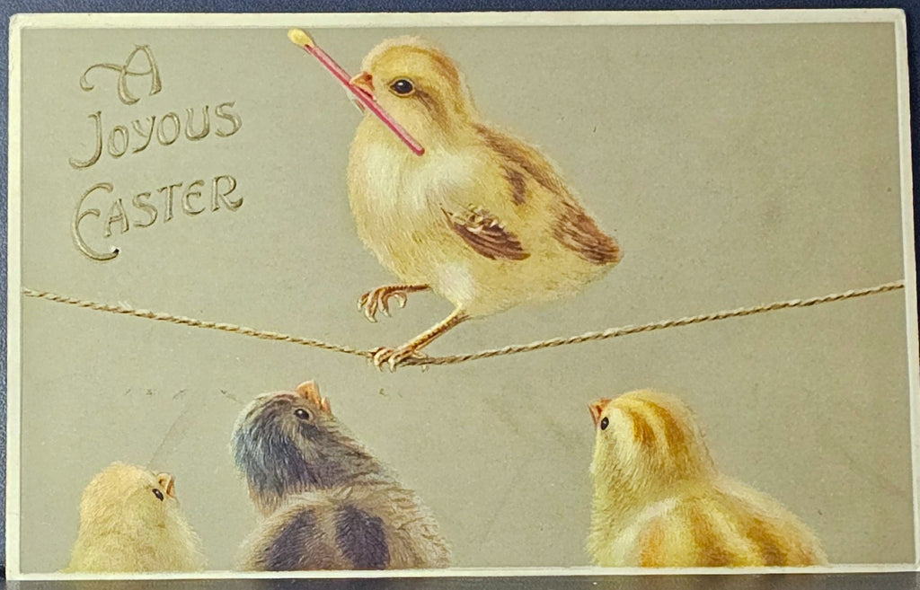 Easter Postcard Baby Chick Walking Tightrope Over Other Chicks