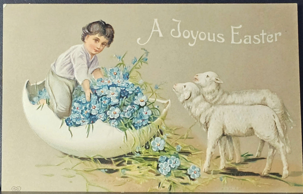 Easter Postcard Embossed Card Little Boy in Giant Flower Filled Egg with Baby Lambs EAS Publishing