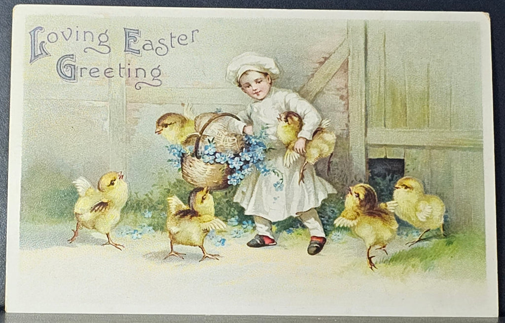 Easter Postcard Embossed Card Little Boy in Chef Uniform with Baby Chicks Artist Clapsaddle Series 2012 IAP Publishing