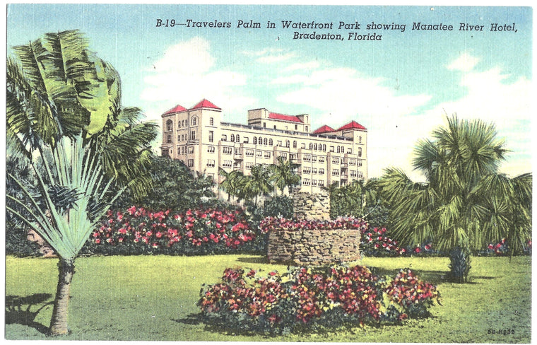 Traveler's Palm in Waterfront Park Showing Manatee River Hotel Bradenton FL 1940s Florida Linen Postcard