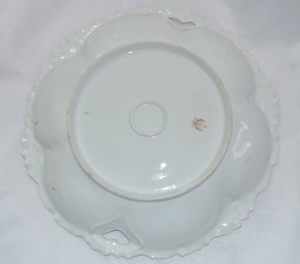 RS PRUSSIA Cake Plate Floral Form Rim Mold 268 FRUIT Pattern 11"