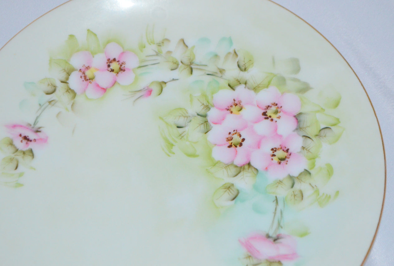 Bavarian Porcelain Hand Painted Floral Dinner Plates Set of Six