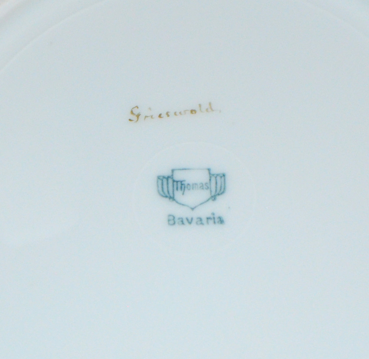Bavarian Porcelain Hand Painted Floral Dinner Plates Set of Six