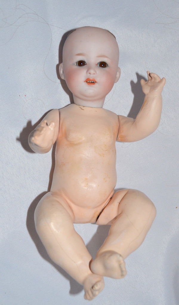 Rare Antique German Bisque Character Baby Doll 10532 Gebruder Heubach 11" Jointed Child Holding German Mohair Miniature Bear