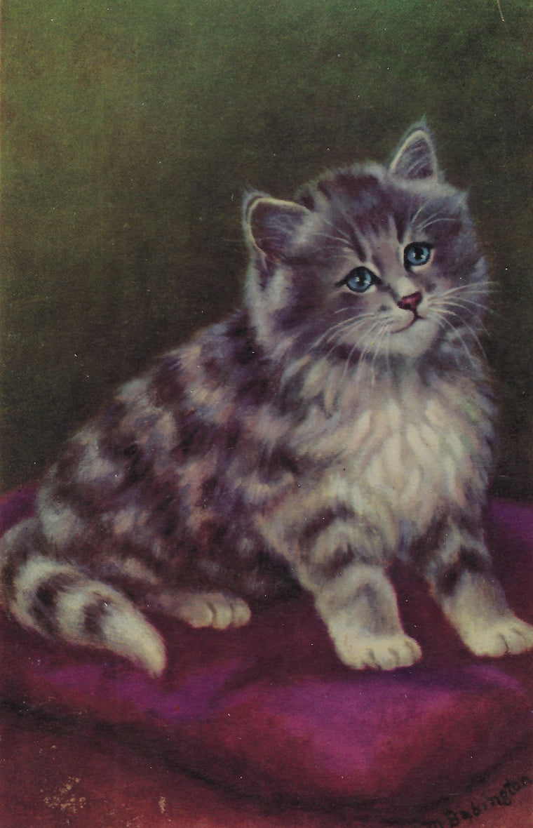 Artist Postcard M. Babington Grey & Black Tiger Stripe Kitten Blue Eyes Alma Publishing Series No 326