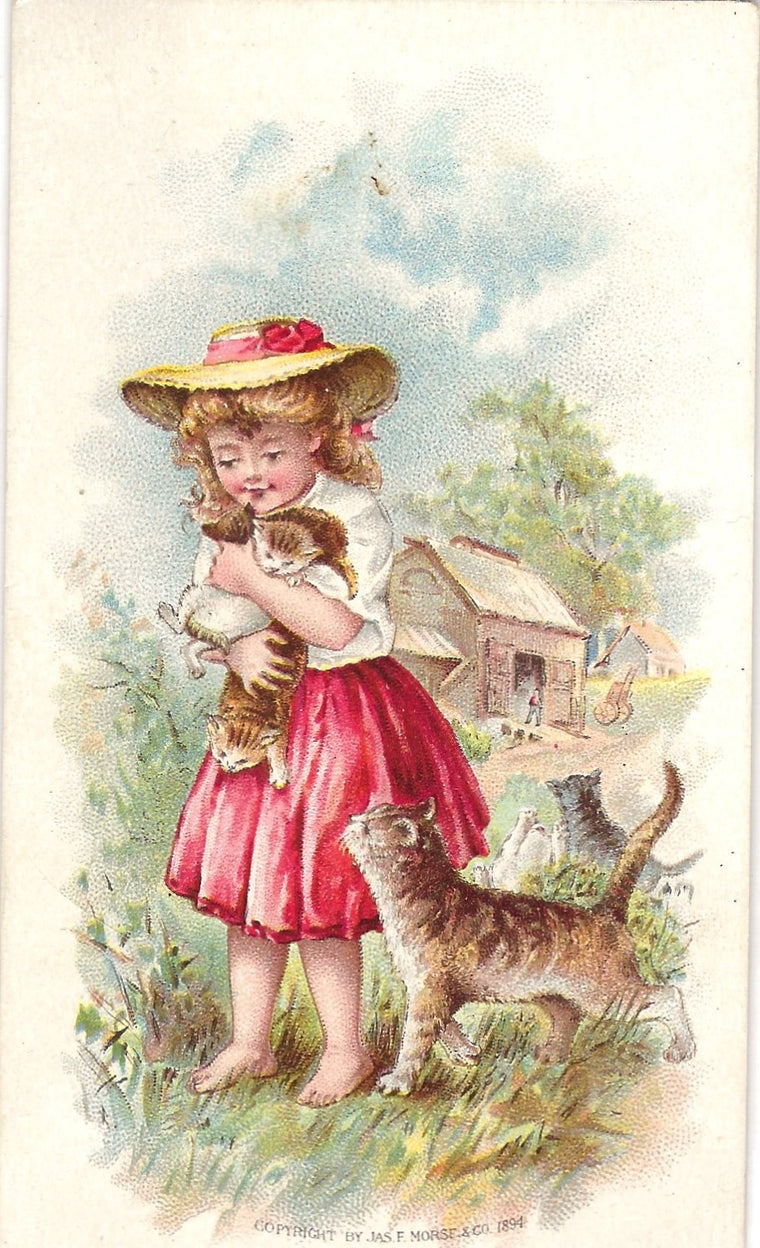 Victorian Advertising Trade Card Circa 1880s Shawmut Soap Little Girl Holding Kittens Boston Mass