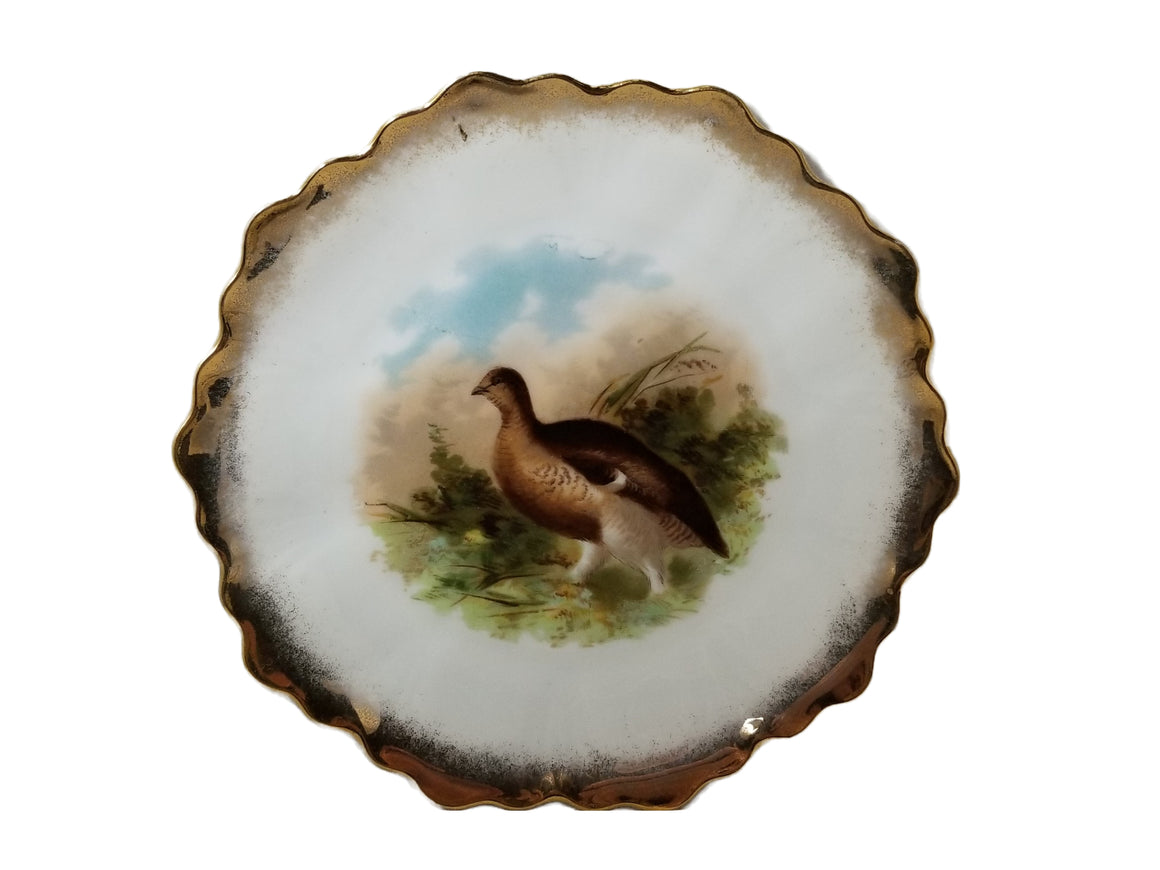 Vintage Antique Bavarian Porcelain Game Bird Decorated Plate Grouse with Gold Trim