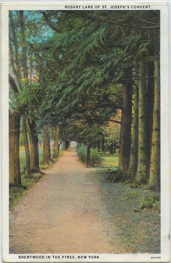 Rosary Lane at Saint Joseph's Convent Brentwood in the Pines New York Postcard