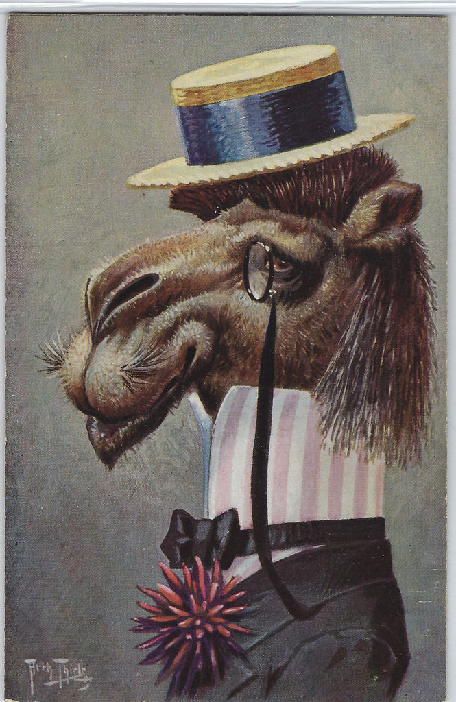 RARE Arthur Thiele Artist Postcard Camel in Straw Hat Anthropomorphic Humanized Animal T.S. N. Series 1413