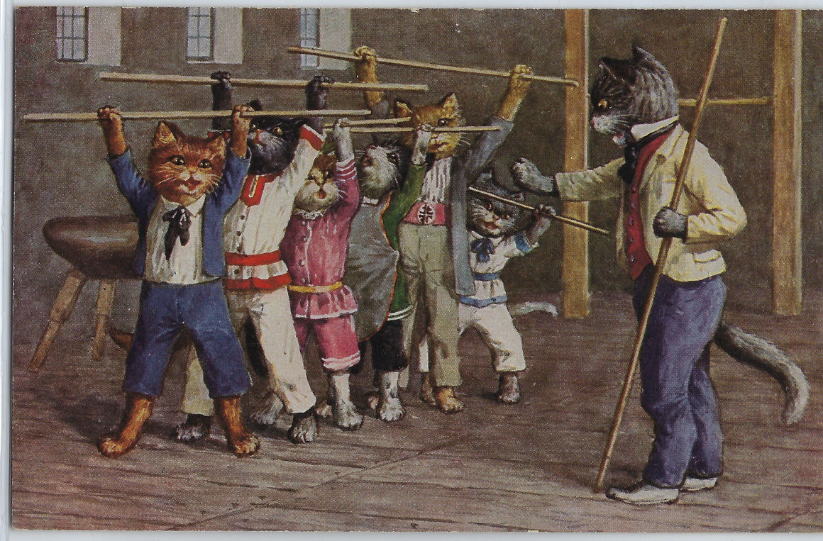 Arthur Thiele Artist Postcard Cats in Karate Class Anthropomorphic Humanized Animal T.S. N. Series 1326