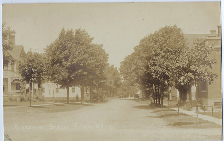Alleghany Street Corfu NY 1916  RPPC Real Photo Postcard AZO Stamp Erie County New York