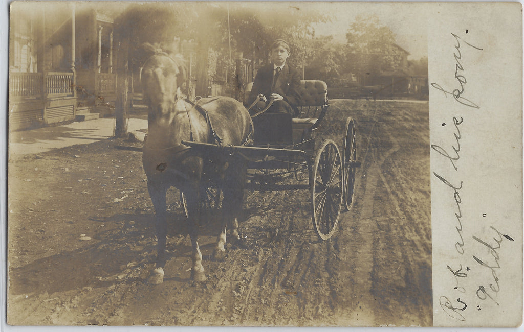 RPPC Real Photo Postcard Boy Driving Pony Horse Drawn Wagon on Dirt Street Binghamton NY 1908