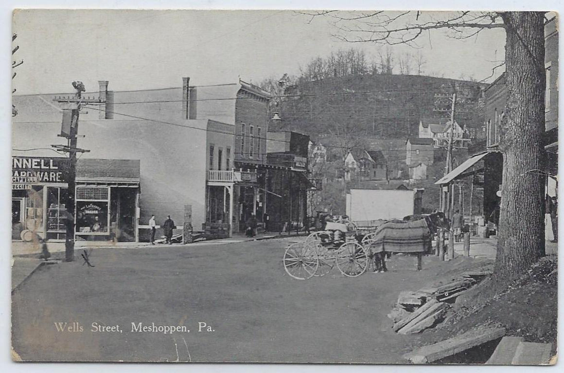 Real Picture Postcard Meshoppen PA Wells St Street Scene Horse & Wagon Hardware Store 1910s