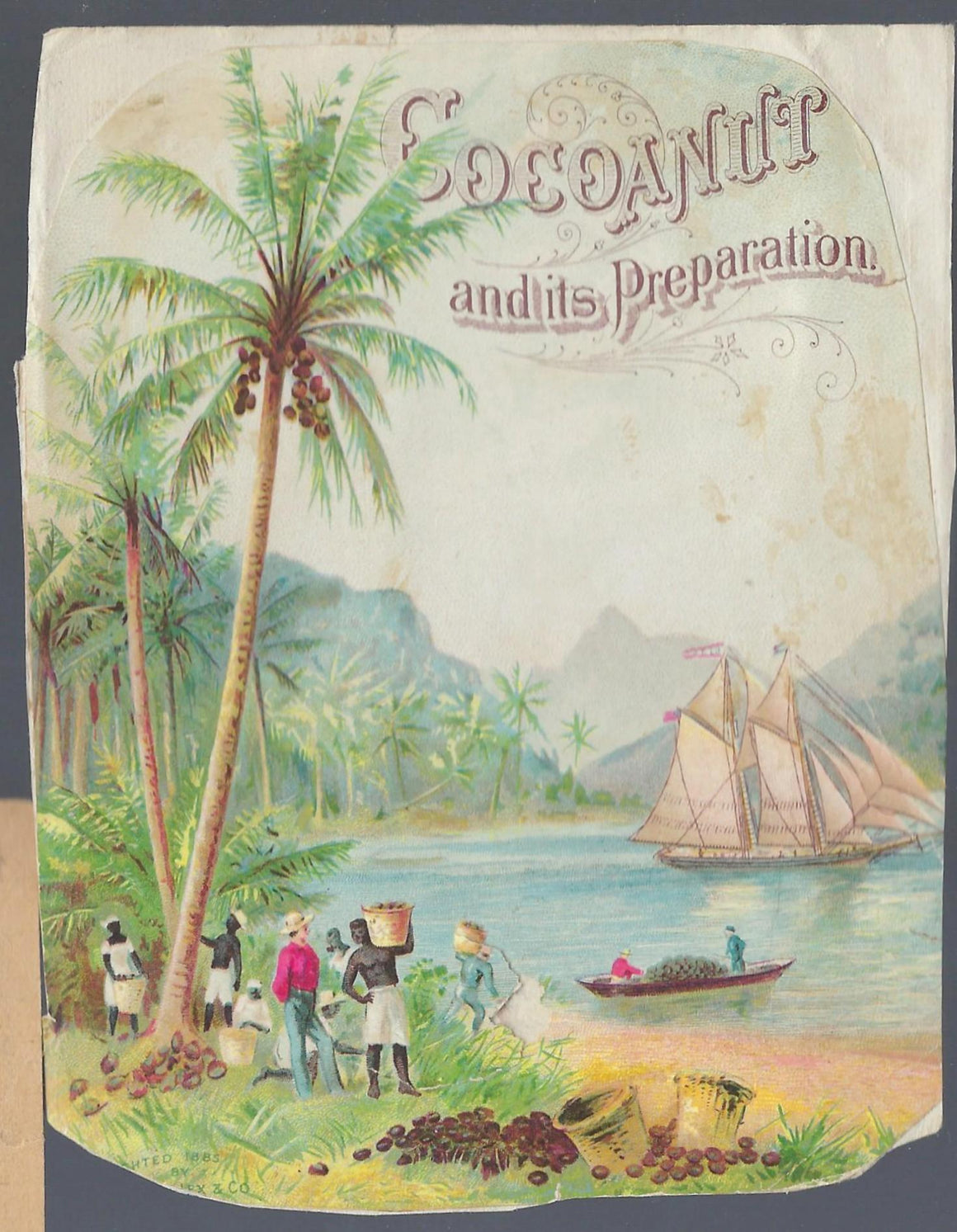 Advertising Trade Card Black Americana Cocoanut Preparation Label Cocoa Plants Harvested By African Descent