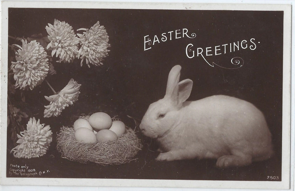 Easter Postcard RPPC White Rabbit with Nest Filled with Eggs Flower in Corner 1908 Card