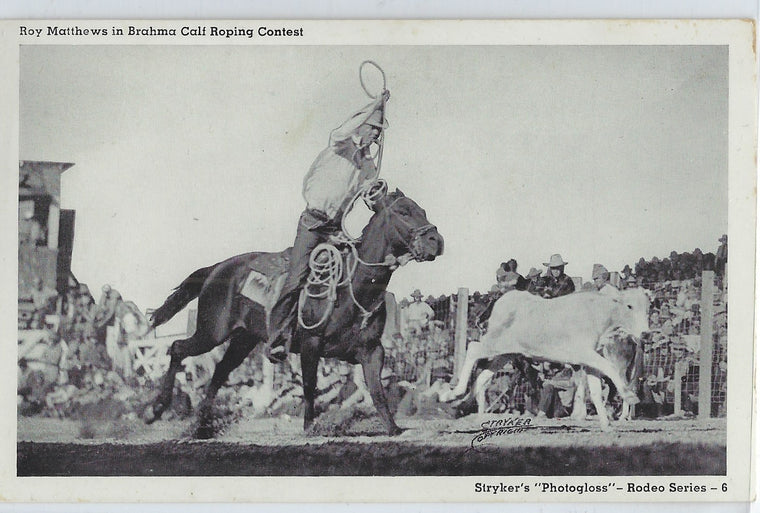Real Picture Postcard Stryker Rodeo Series #6 Roy Matthews  Brahma Calf Roping Contest