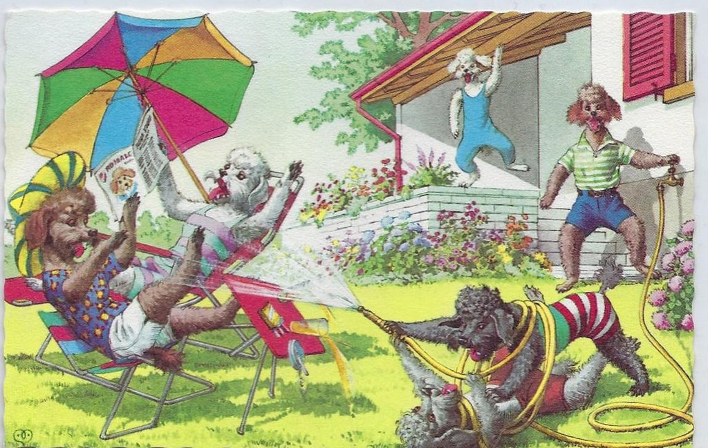 Alfred Mainzer Artist Postcard Humanized Poodle Dogs Water Hose Fight 4918 Artist Hartung Anthropomorphic Animals