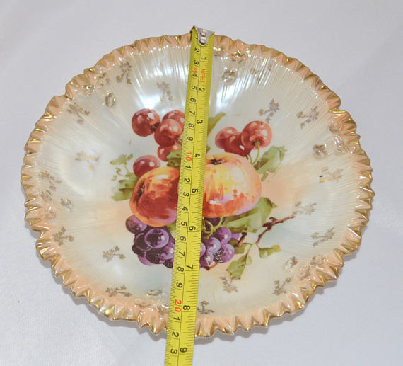RS Prussia Plate Mold 211a Fruit Decor German Porcelain Art Nouveau Period RSP Pie Border Crimp Design Fruit I