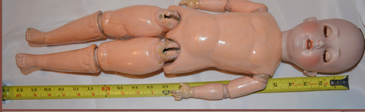 German Porcelain Bisque REVALO Doll by Gebrüder Ohlhaver 22" T. Composition Wood Jointed Body