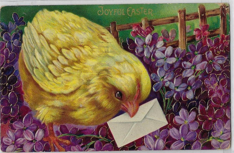Easter Postcard Embossed Baby Chick Carrying Envelope Flower Border Gel Finish Series 1520 Printed in Germany