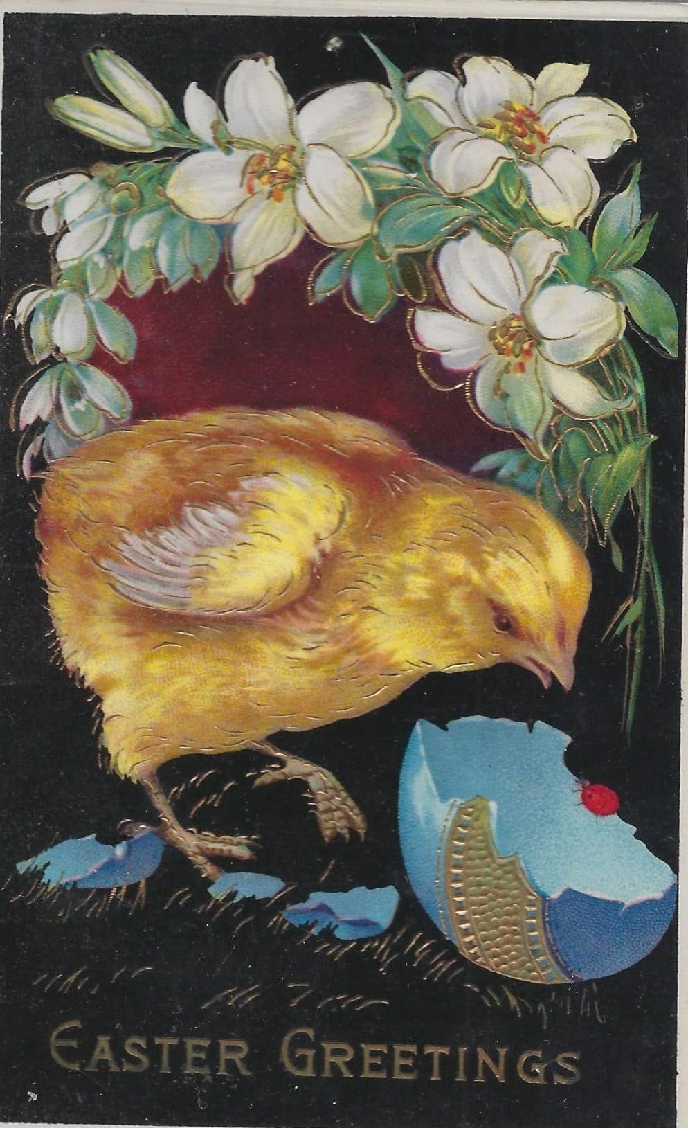 Easter Postcard Baby Chick with Blue Painted Egg Gel Finish Black Background Gold Highlights Series 7038