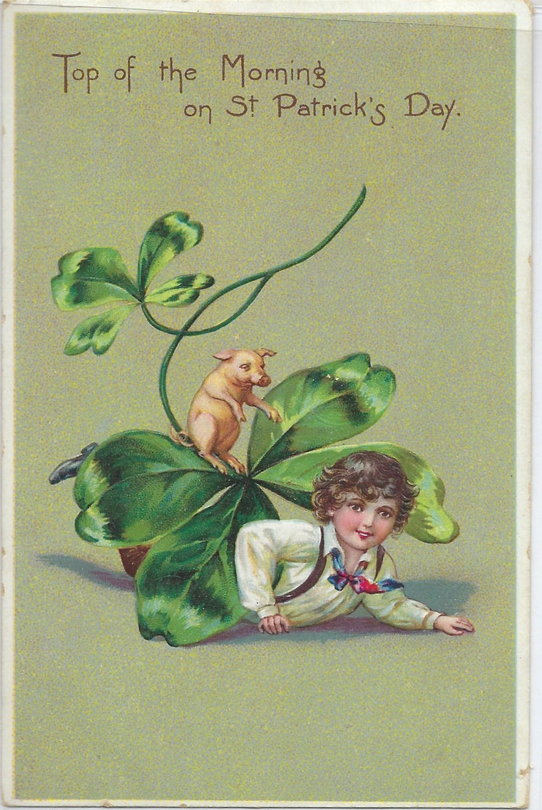 St Patricks Day Postcard Little Boy Under Four Leaf Clover with Baby Pig  Tuck Publishing Series 106