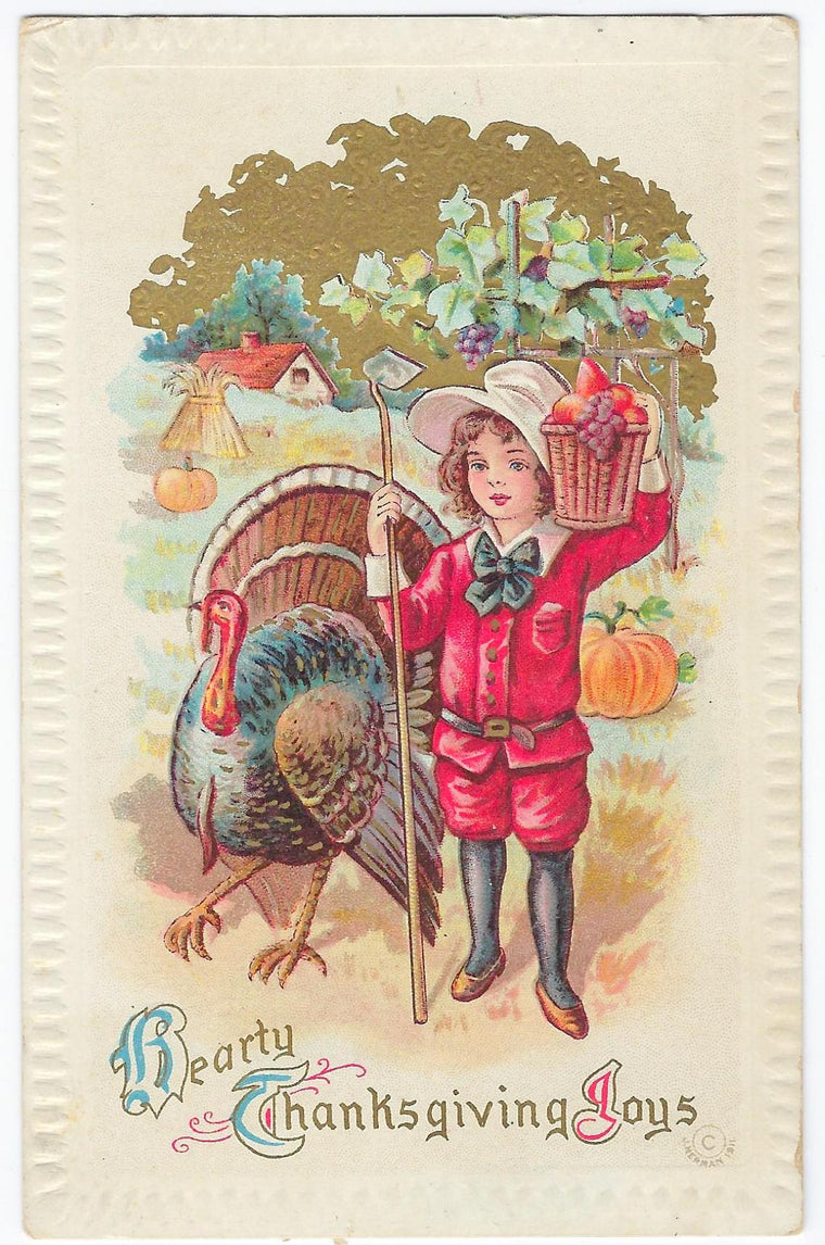 Thanksgiving Postcard Small Child in Garden with Large Turkey Gold Embossed Hearty Thanksgiving Joys Series M132
