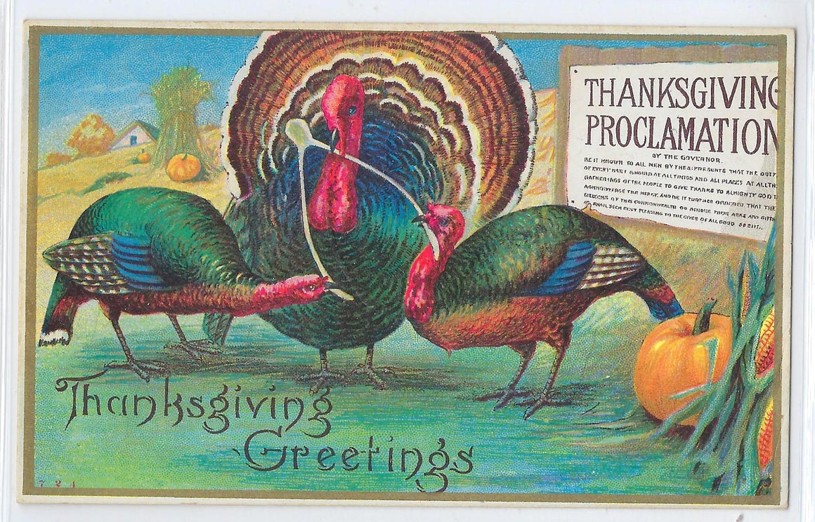 Thanksgiving Postcard Lightly Embossed Turkeys Holding Wishbone Proclamation Sign Series 724