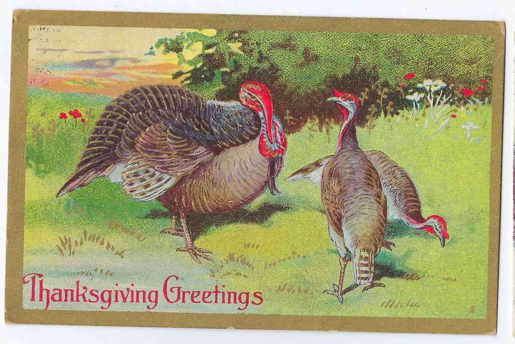 Thanksgiving Postcard Turkeys Gathered in Grass Embossed Card Gold Highlights