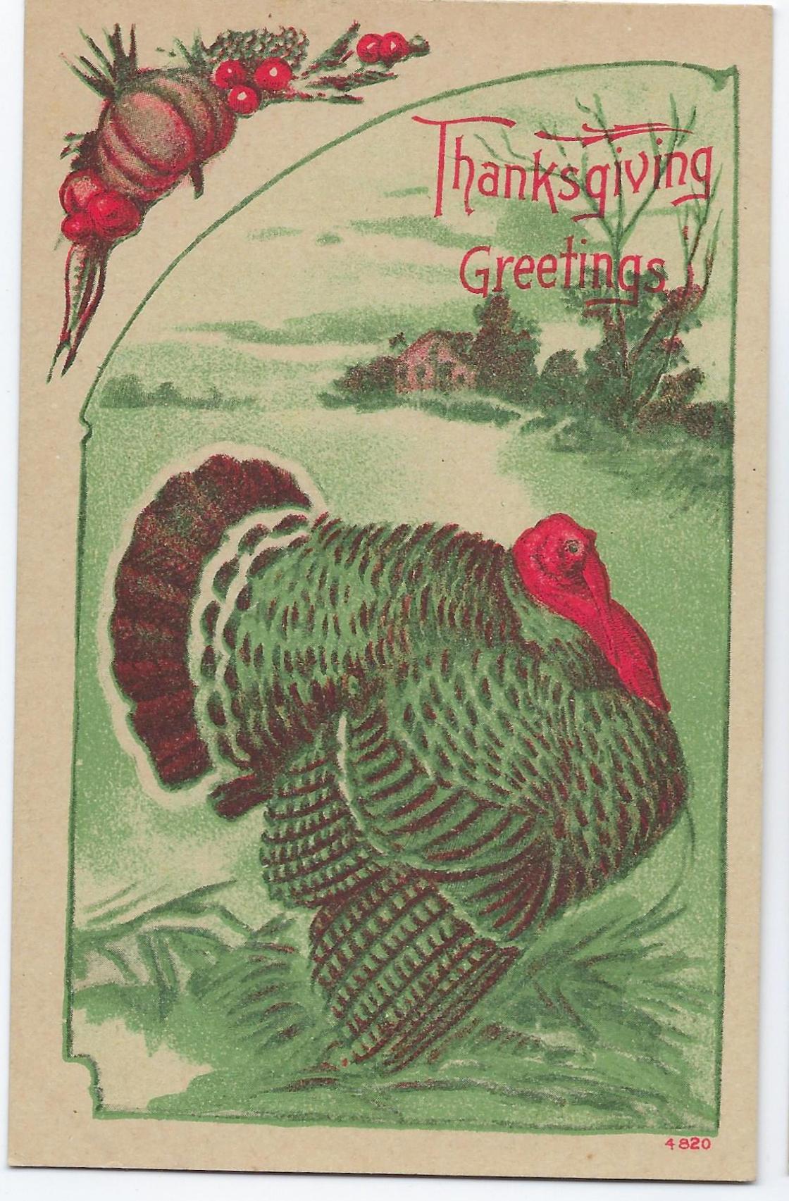 Thanksgiving Postcard Standing Turkey in Green with Red Highlights Series 4820
