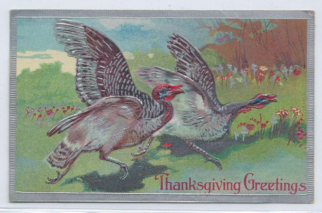 Thanksgiving Postcard Silver Embossed Turkeys in Grassy Field